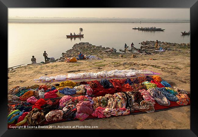 Waiting to be Washed, Banks of River Ganges, Varan Framed Print by Serena Bowles