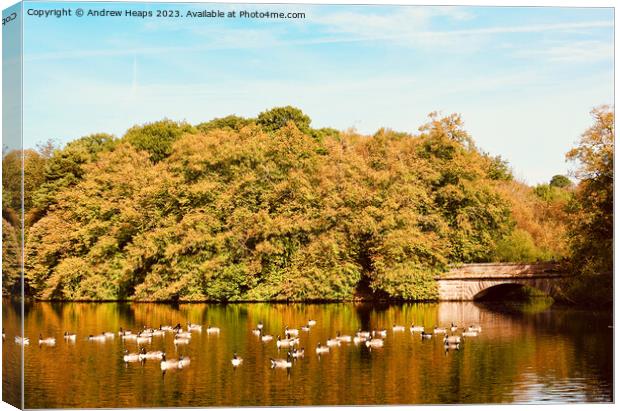 Summer colours at Knypersley pool. Canvas Print by Andrew Heaps