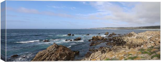 17 mile drive in Pebble beach, Monterey, California Canvas Print by Arun 