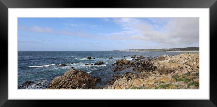17 mile drive in Pebble beach, Monterey, California Framed Mounted Print by Arun 