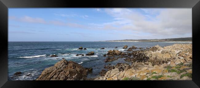 17 mile drive in Pebble beach, Monterey, California Framed Print by Arun 