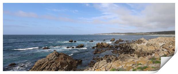 17 mile drive in Pebble beach, Monterey, California Print by Arun 