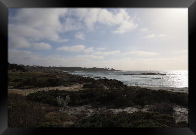 17 mile drive in Pebble beach, Monterey, California Framed Print by Arun 