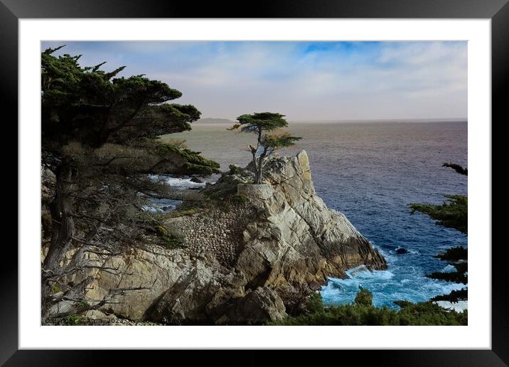 17 mile drive in Pebble beach, Monterey, California Framed Mounted Print by Arun 