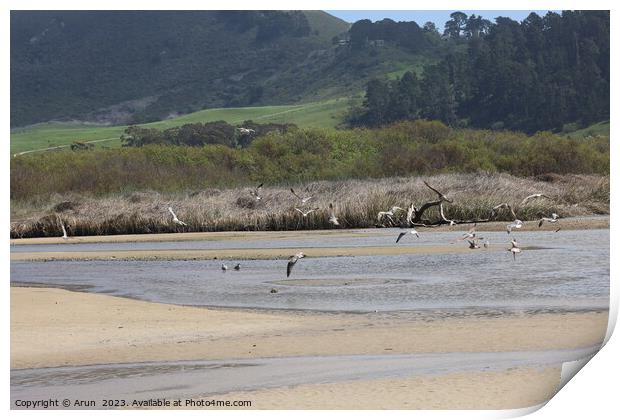 Sand and Sky in Carmel beach in California,  Print by Arun 