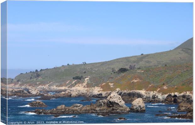 Garrapata State Park in California Canvas Print by Arun 