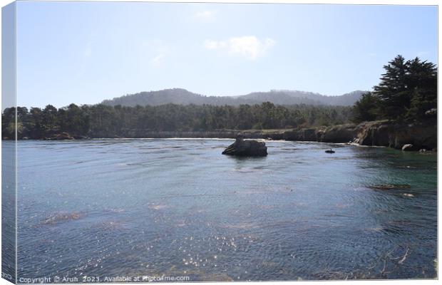 Point Lobos State park in California Canvas Print by Arun 