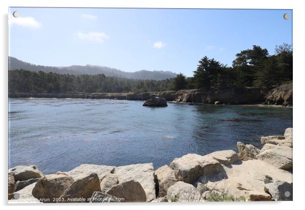 Point Lobos State park in California Acrylic by Arun 