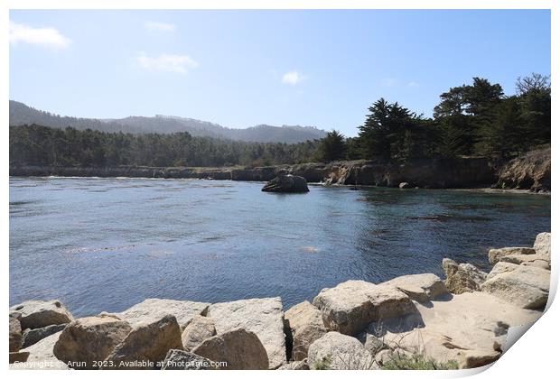 Point Lobos State park in California Print by Arun 