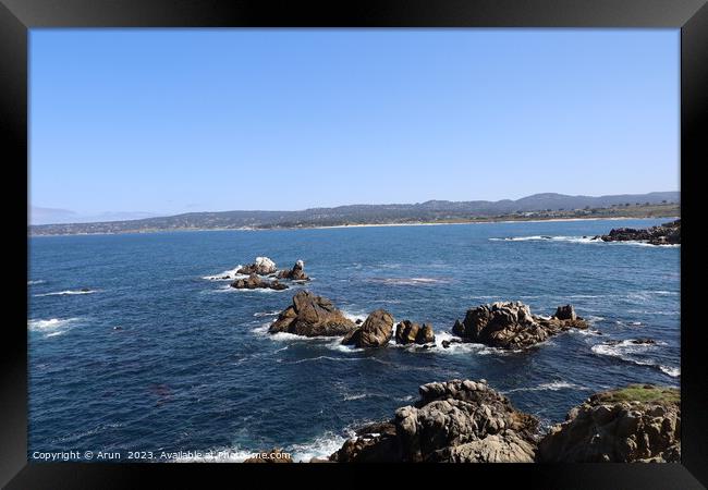 Point Lobos State park in California Framed Print by Arun 