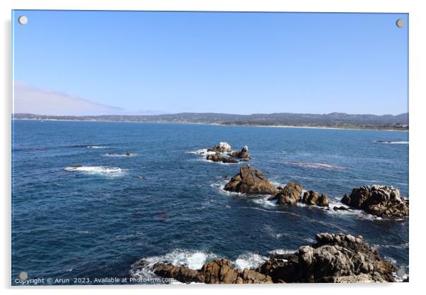 Point Lobos State park in California Acrylic by Arun 