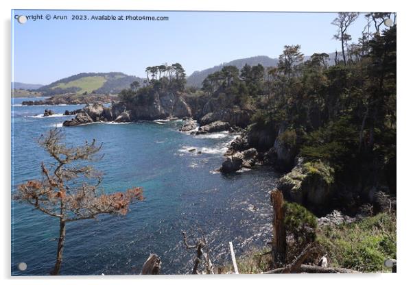 Point Lobos State park in California Acrylic by Arun 