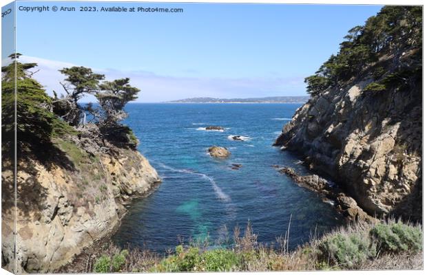 Point Lobos State park in California Canvas Print by Arun 