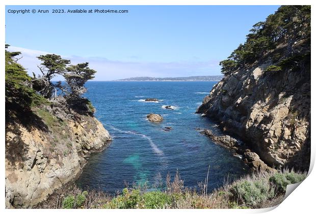 Point Lobos State park in California Print by Arun 