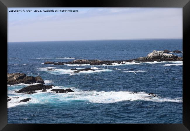 Point Lobos State park in California Framed Print by Arun 