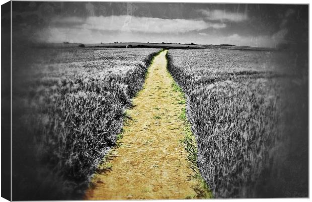 path to infinity 2 Canvas Print by paul forgette