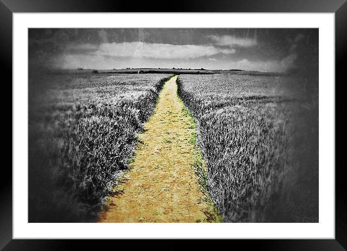 path to infinity 2 Framed Mounted Print by paul forgette