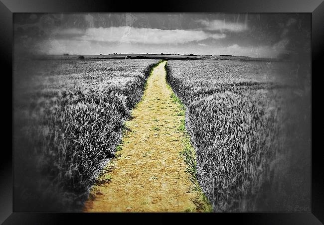 path to infinity 2 Framed Print by paul forgette