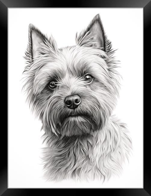 Cairn Terrier Pencil Drawing Framed Print by K9 Art
