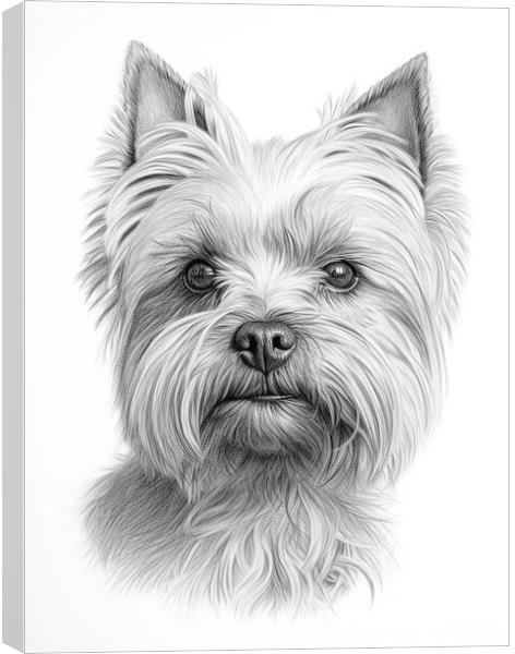 Cairn Terrier Pencil Drawing Canvas Print by K9 Art