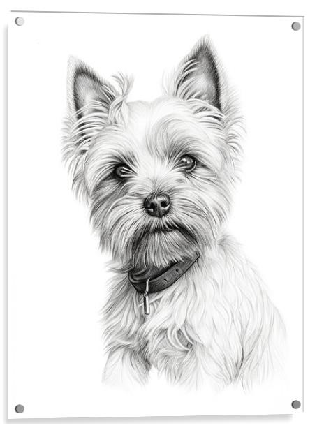Cairn Terrier Pencil Drawing Acrylic by K9 Art