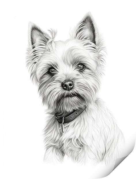 Cairn Terrier Pencil Drawing Print by K9 Art