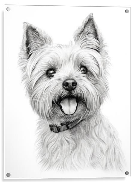 Cairn Terrier Pencil Drawing Acrylic by K9 Art