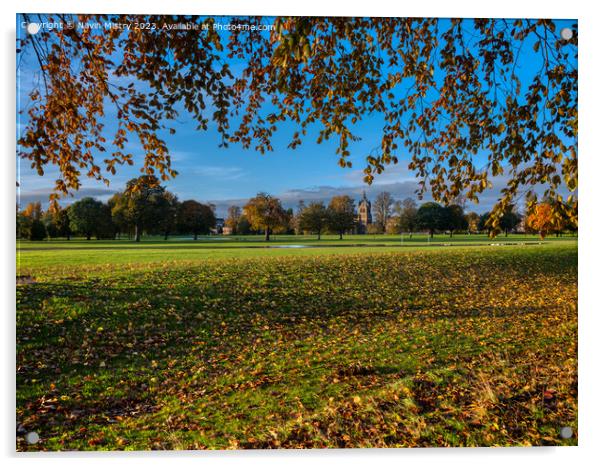 Autumn Colours of the South Inch, Perth Acrylic by Navin Mistry