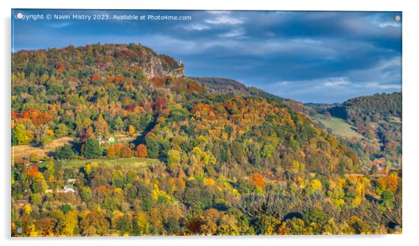 Autumn Colours of Kinnoull Hill, Perth Acrylic by Navin Mistry