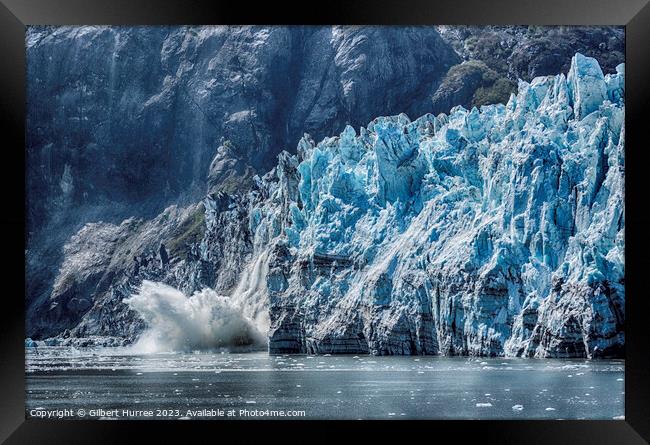 Glacier Bay Alaska Framed Print by Gilbert Hurree