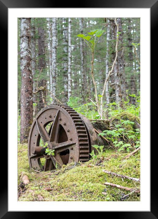 Abandoned Mining Machinery in woodland in William Henry Bay, Alaska, USA Framed Mounted Print by Dave Collins