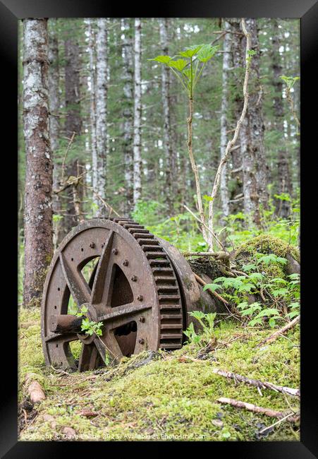 Abandoned Mining Machinery in woodland in William Henry Bay, Alaska, USA Framed Print by Dave Collins