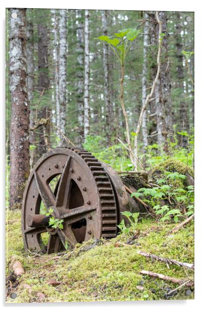 Abandoned Mining Machinery in woodland in William Henry Bay, Alaska, USA Acrylic by Dave Collins