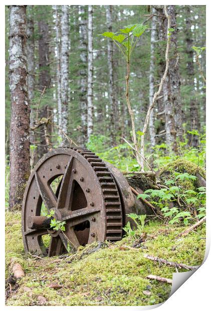 Abandoned Mining Machinery in woodland in William Henry Bay, Alaska, USA Print by Dave Collins