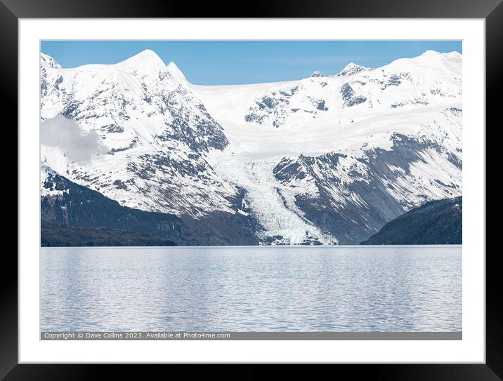 A small Tidal Glacier in College Fjord, Prince William Sound, Alaska, USA Framed Mounted Print by Dave Collins