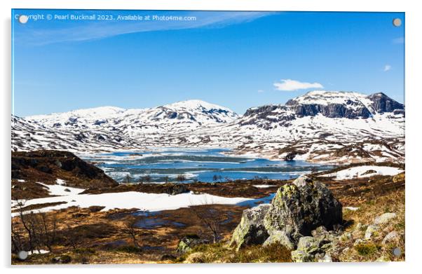 Hardanger landscape Norway Acrylic by Pearl Bucknall
