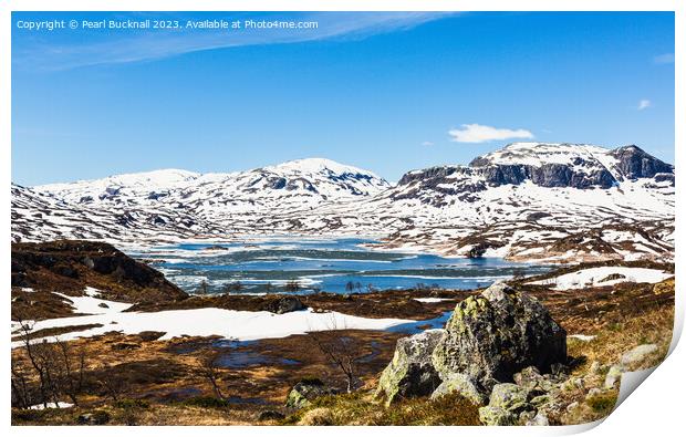 Hardanger landscape Norway Print by Pearl Bucknall