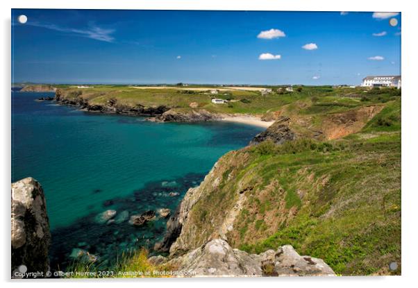 Cornwall Coastline  Acrylic by Gilbert Hurree