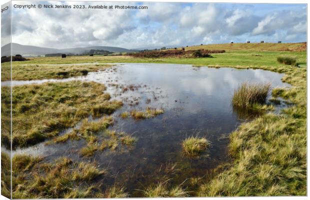 Pond on Mymydd Illtyd Common Brecon Beacons/Bannau Brycheiniog South Wales Canvas Print by Nick Jenkins