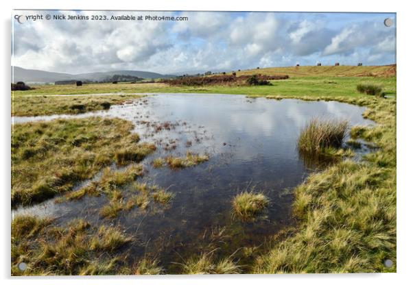 Pond on Mymydd Illtyd Common Brecon Beacons/Bannau Brycheiniog South Wales Acrylic by Nick Jenkins