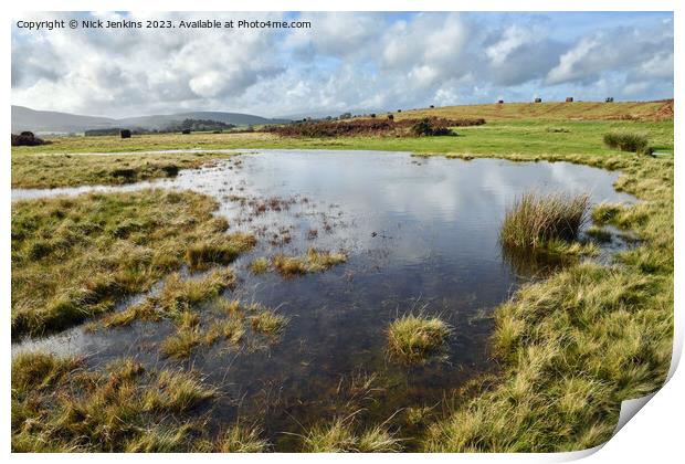 Pond on Mymydd Illtyd Common Brecon Beacons/Bannau Brycheiniog South Wales Print by Nick Jenkins