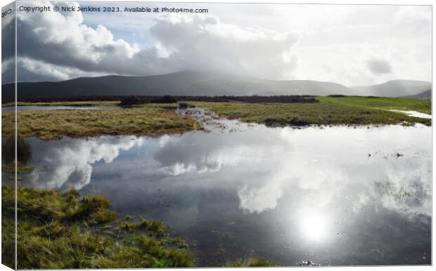 Pond up on Mynydd Illtyd Common in the Brecon Beacons Canvas Print by Nick Jenkins