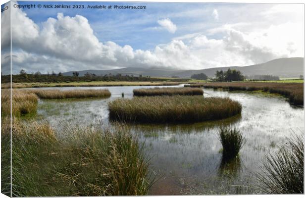 Lovely view across the Mynydd Illtyd Pond Brecon Beacons  Canvas Print by Nick Jenkins