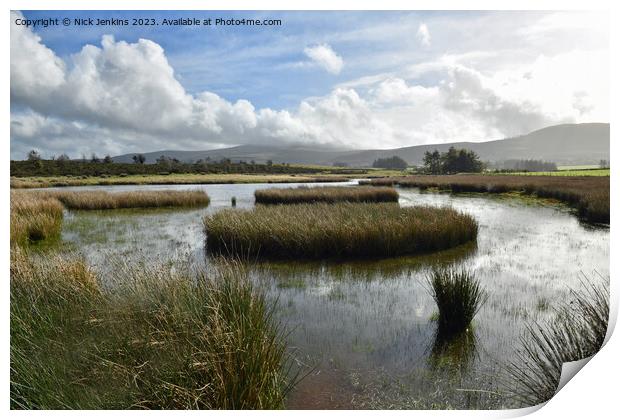 Lovely view across the Mynydd Illtyd Pond Brecon Beacons  Print by Nick Jenkins