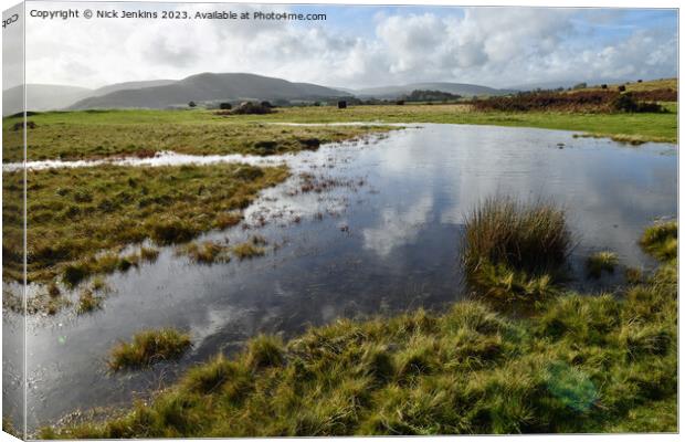 Pond on Mynydd Illtyd Common Brecon Beacons  Canvas Print by Nick Jenkins