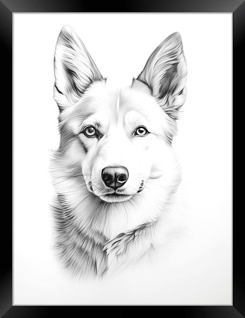 Canaan Dog Pencil Drawing Framed Print by K9 Art