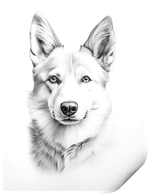 Canaan Dog Pencil Drawing Print by K9 Art