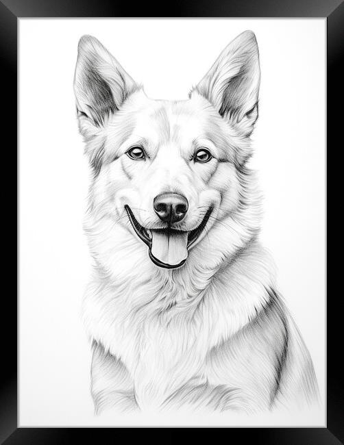 Canaan Dog Pencil Drawing Framed Print by K9 Art