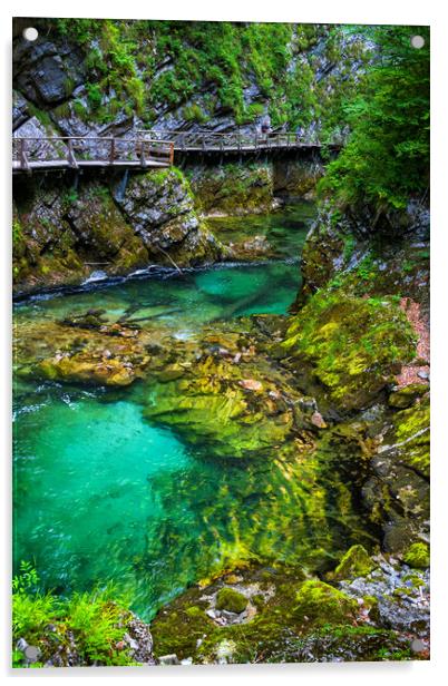 The Vintgar Gorge Scenic Landscape In Slovenia Acrylic by Artur Bogacki