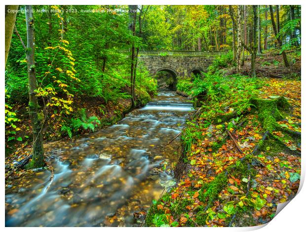 Autumn at Maspie Den, Falkland Print by Navin Mistry